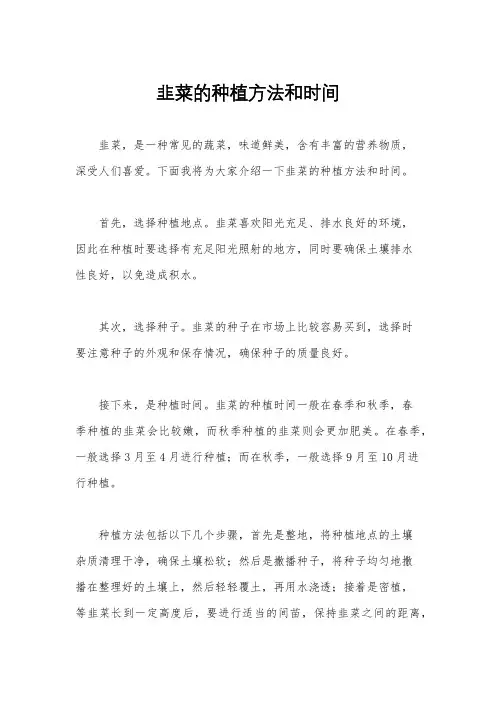 韭菜的种植方法和时间