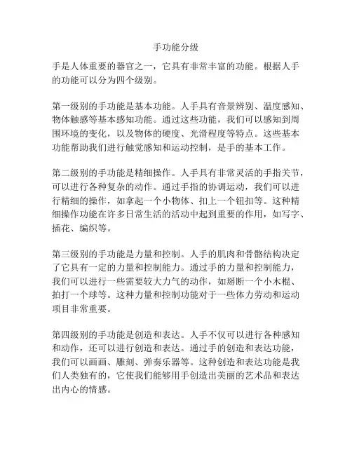 手功能分级