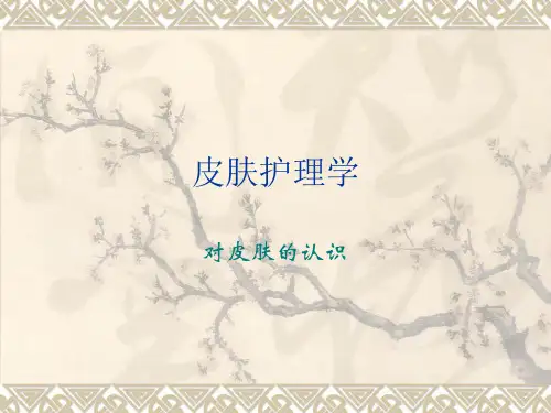 皮肤护理学
