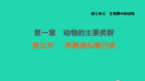 八年级生物上册第七单元生物圈中的动物第一章动物的主要类群第5节两栖类和爬行类课件鲁科版五四制