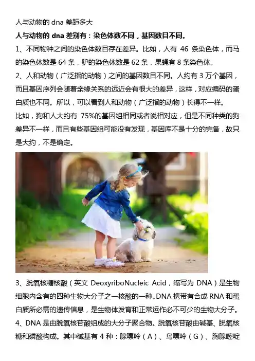 人与动物的dna差距多大