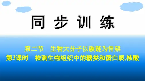 浙科版高中生物学必修1精品课件 第1章 第2节  第3课时 检测生物组织中的糖类和蛋白质,核酸