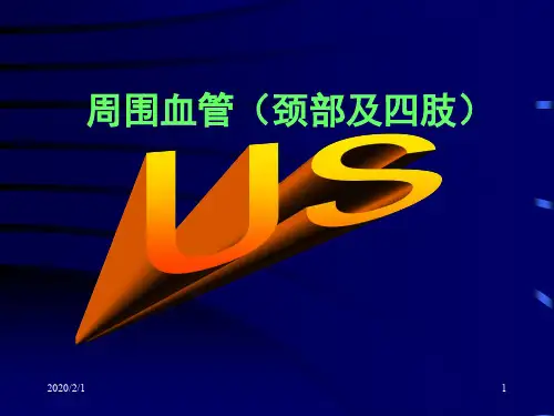 周围血管(颈部及四肢)解剖PPT