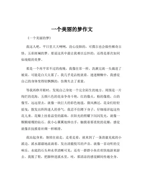 一个美丽的梦作文