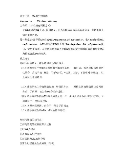 第十一章  RNA的生物合成