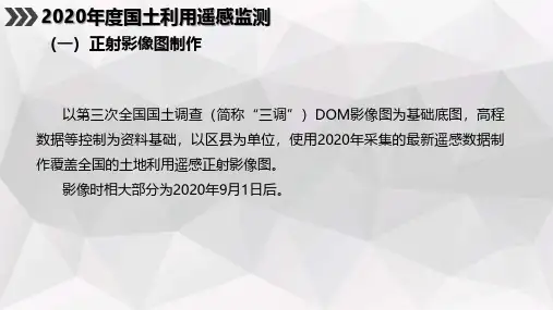 2020年年度国土变更调查监测图斑提取信息