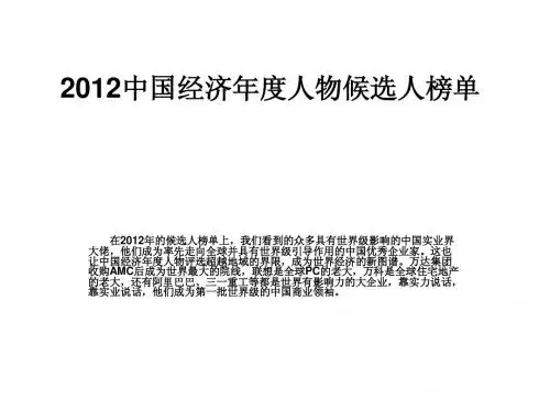 2012中国经济年度人物候选人榜单