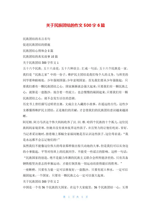 关于民族团结的作文500字6篇