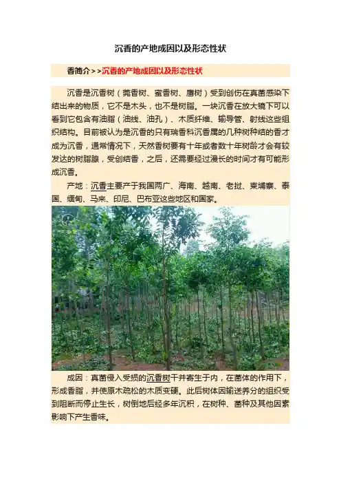 沉香的产地成因以及形态性状