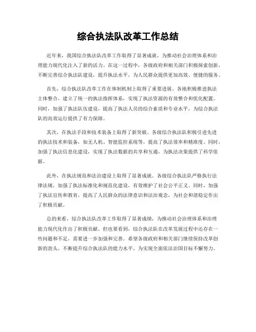 综合执法队改革工作总结