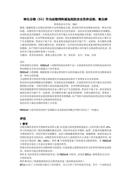 欧盟-氧化锌
