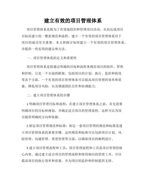 建立有效的项目管理体系