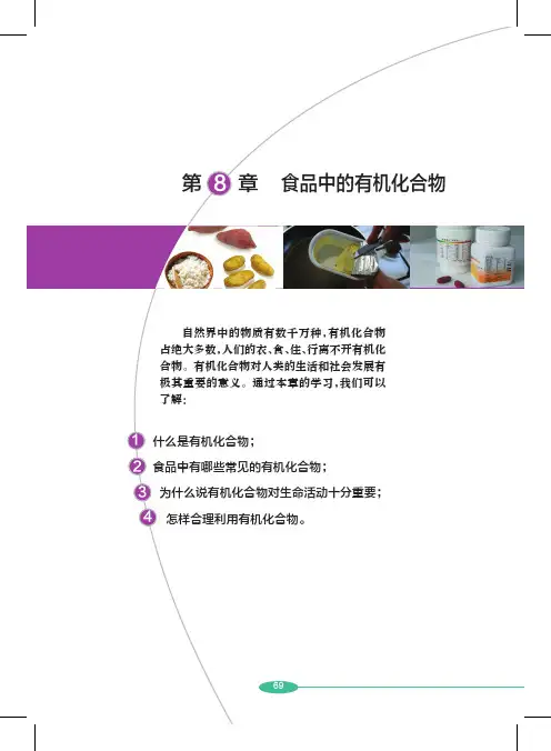 九年级化学下册书本(沪教版PDF)第八章