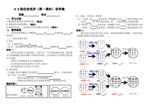 染色体变异(第1课时)学案 高一下学期生物人教版必修2