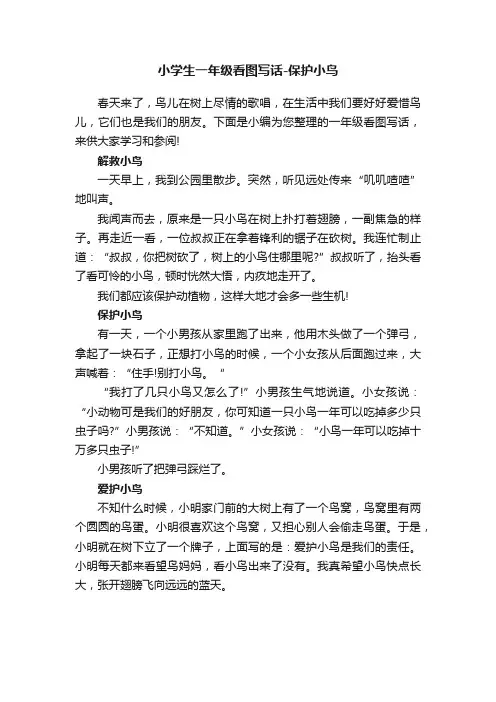 小学生一年级看图写话-保护小鸟
