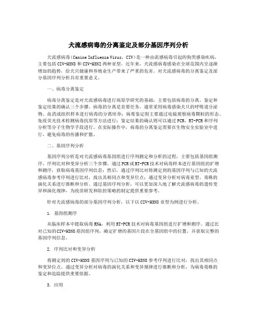 犬流感病毒的分离鉴定及部分基因序列分析