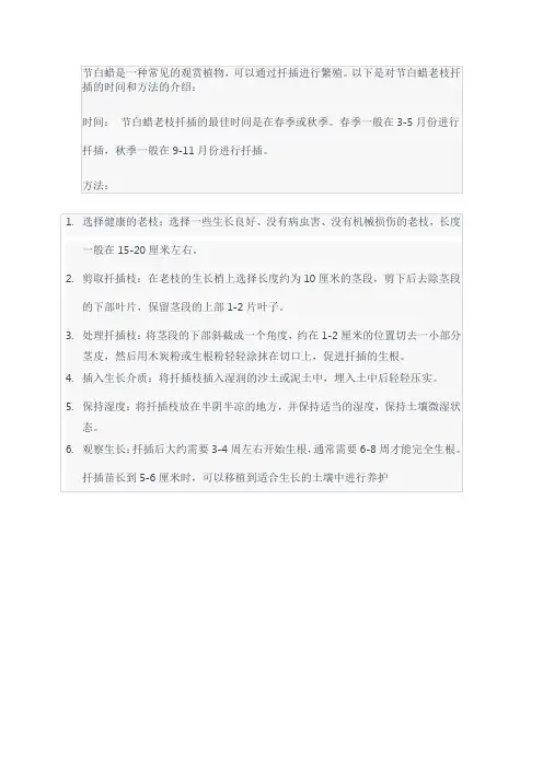对节白蜡老枝扦插时间和方法