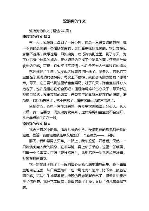 流浪狗的作文