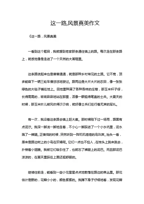 这一路,风景真美作文