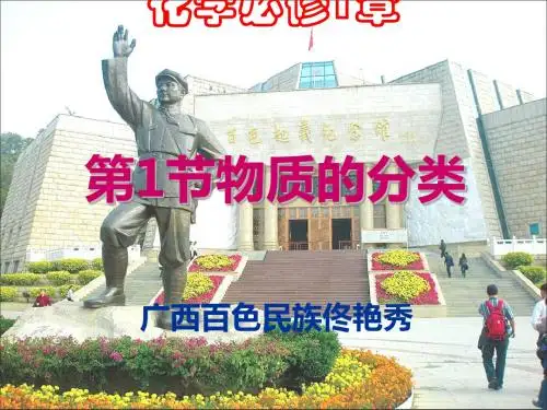 化学课件《物质的分类》优秀ppt46(2份打包) 人教课标版