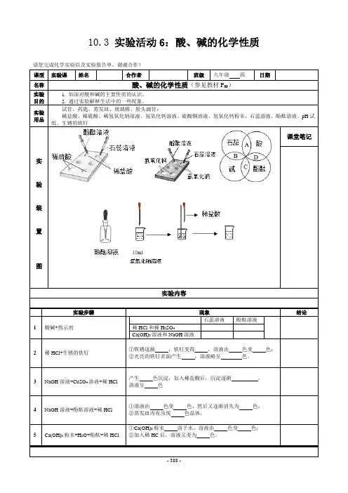 10.3实验活动6 酸、碱的化学性质
