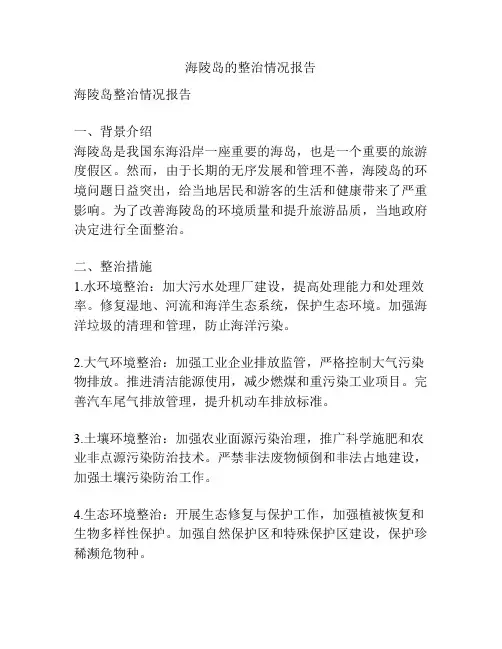 海陵岛的整治情况报告