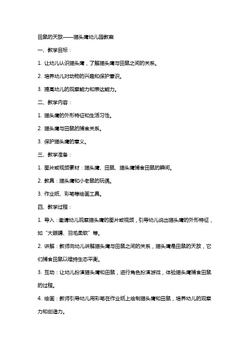 田鼠的天敌——猫头鹰幼儿园教案