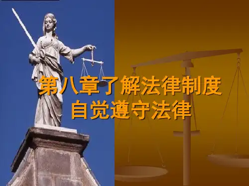 第八章了解法律制度自觉遵守法律