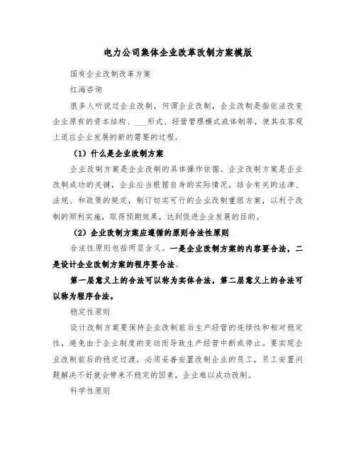 电力公司集体企业改革改制方案模版(二篇)
