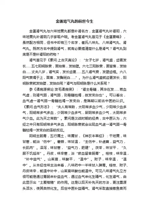 金匮肾气丸的前世今生