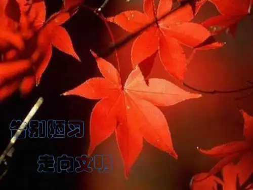 主题班会：告别陋习,走向文明.ppt