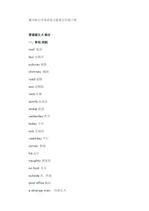 湘少版小学英语复习提纲五年级下册