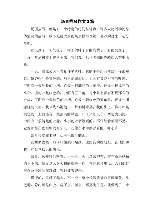 场景描写作文3篇