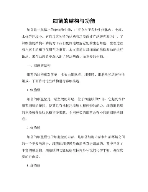 细菌的结构与功能