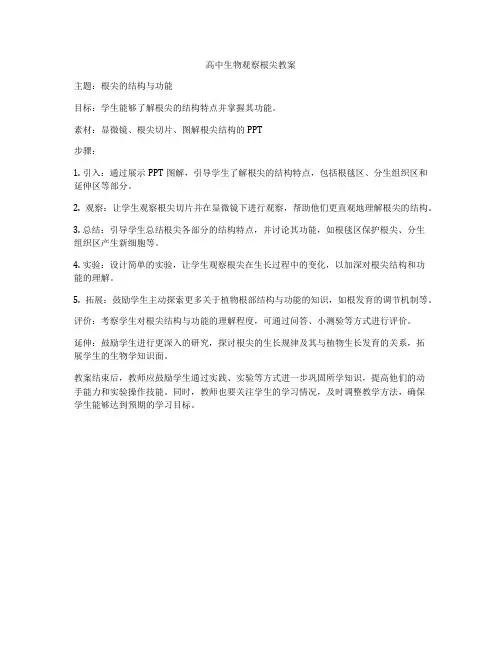 高中生物观察根尖教案