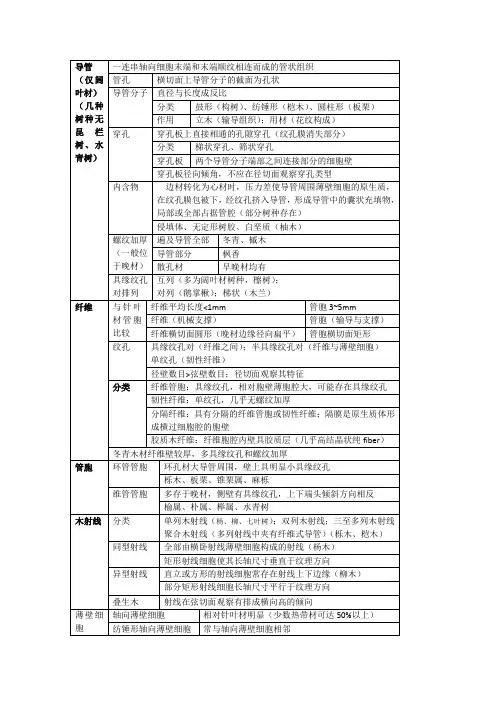 阔叶微观