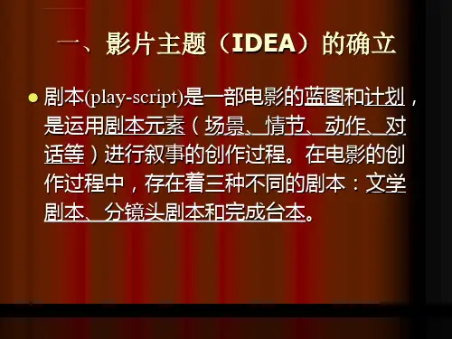 DV剧本的创作ppt课件