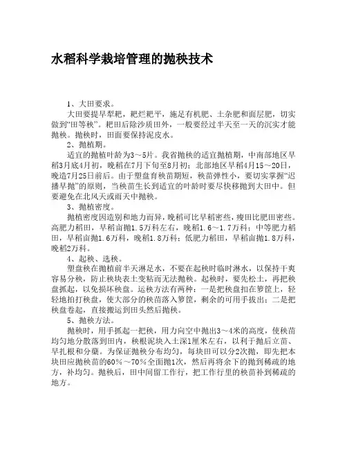 水稻科学栽培管理的抛秧技术