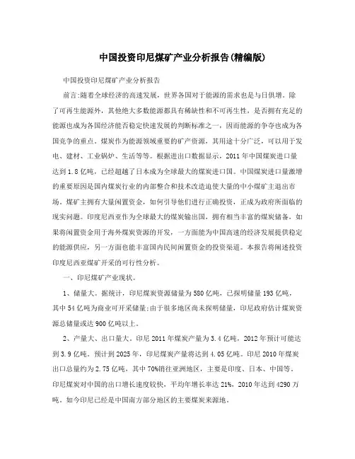 中国投资印尼煤矿产业分析报告(精编版)