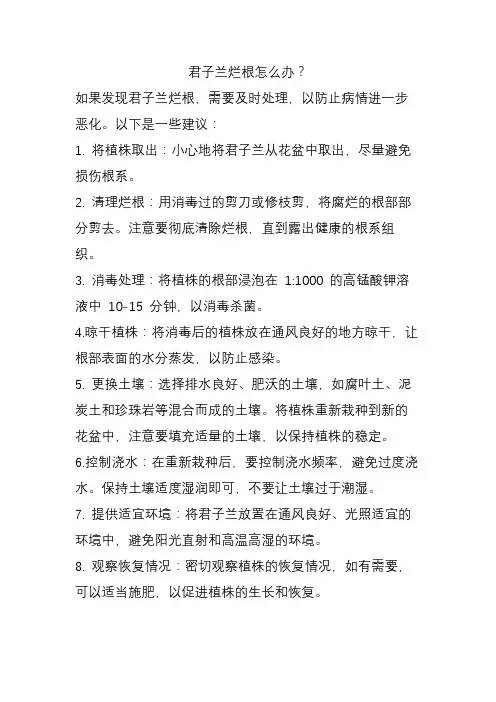 君子兰烂根怎么办？