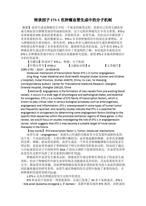 转录因子ETS-1在肿瘤血管生成中的分子机制
