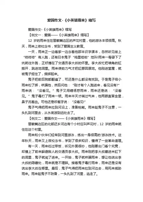 爱国作文-《小英雄雨来》缩写