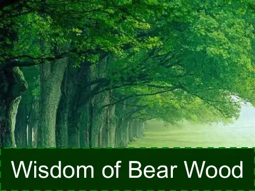 Lesson_6_wisdom_of_bear_wood