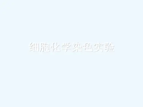 细胞化学染色