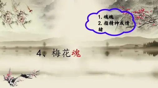 4梅花魂 课件(共23张PPT)