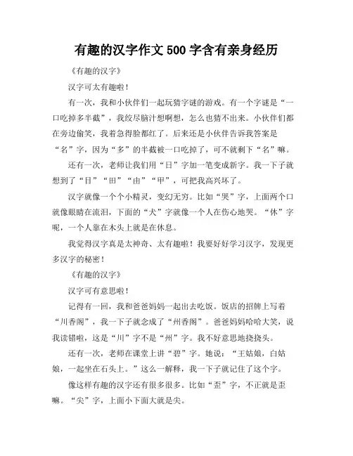 有趣的汉字作文500字含有亲身经历