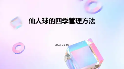 仙人球的四季管理方法