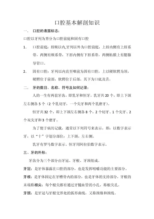 口腔基本知识