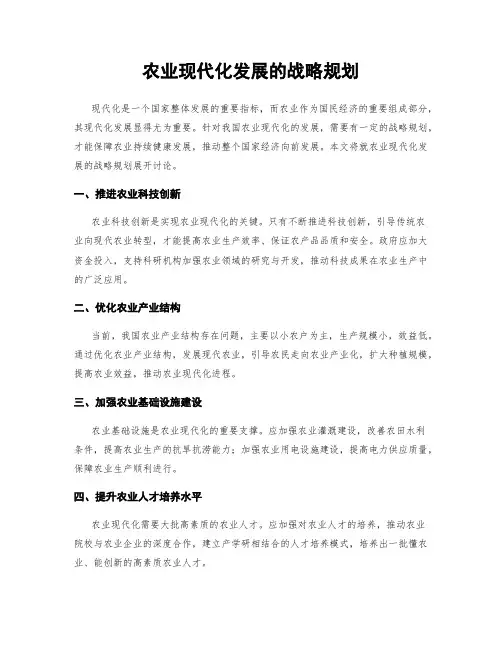 农业现代化发展的战略规划
