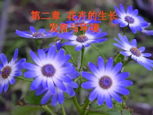 花卉的生长发育与环境